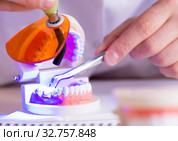 Dentist working teeth implant in medical lab. Стоковое фото, фотограф Elnur / Фотобанк Лори