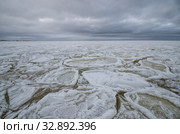 Образование льда на море. Круглые льдины. Стоковое фото, фотограф Яковлев Сергей / Фотобанк Лори