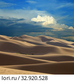 Sand dunes in desert at sunset. Стоковое фото, фотограф Михаил Коханчиков / Фотобанк Лори