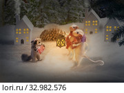 These white rats and raccoon are made of wool and mohair using the needle felting technique. Story scene in the winter forest. Two mice strolling towards them raccoon with sledges. Стоковое фото, фотограф Ирина Кожемякина / Фотобанк Лори