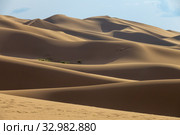 Sand dunes in desert at sunset. Стоковое фото, фотограф Михаил Коханчиков / Фотобанк Лори