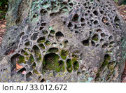 The volcanic lava stone in the old shrine. Japan. Стоковое фото, фотограф Сергей Пристяжнюк (Serg Zastavkin) / Фотобанк Лори