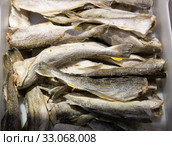 Navaga stockfish in a container on the market. Стоковое фото, фотограф Яков Филимонов / Фотобанк Лори