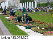 Посадка цветов на клумбы Главной аллеи ВДНХ (ВВЦ) в Москве, Россия (2019 год). Редакционное фото, фотограф Елена Коромыслова / Фотобанк Лори