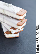 Ice cream biscuits. Стоковое фото, фотограф Elina Manninen / PantherMedia / Фотобанк Лори