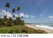 rampanalgas bay,trinidad. Стоковое фото, фотограф Willy Brüchle / PantherMedia / Фотобанк Лори