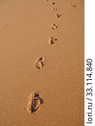 Footprints in sand. Стоковое фото, фотограф Elina Manninen / PantherMedia / Фотобанк Лори