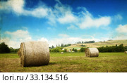 Hay-roll on field after harvest. Стоковое фото, фотограф Erika Eros / Smarterpix / Фотобанк Лори