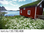 Traditional houses in Lofoten, Norway. Стоковое фото, фотограф Mihai Barbu / PantherMedia / Фотобанк Лори