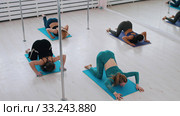 Sportive women doing yoga in the studio - Eight-Limbed Pose. Стоковое фото, фотограф Константин Шишкин / Фотобанк Лори