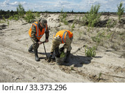 Рекультивация участка добычи нефти. Посадка саженцев сосны. Reclamation of an oil production site. Planting pine seedlings. (2015 год). Редакционное фото, фотограф Евгений Романов / Фотобанк Лори
