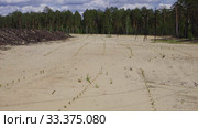 Рекультивация участка добычи нефти. Посадка саженцев сосны. Reclamation of an oil production site. Planting pine seedlings. Стоковое видео, видеограф Евгений Романов / Фотобанк Лори