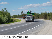 Седельный тягач Петербилт на трассе Сургут-Когалым летом. Peterbilt truck on Surgut-Kogalym highway in summer. (2015 год). Редакционное фото, фотограф Евгений Романов / Фотобанк Лори