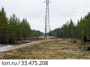 Лесопользование: очистка просеки под ЛЭП. Forest management: clearing the clearing for power lines. Стоковое фото, фотограф Евгений Романов / Фотобанк Лори