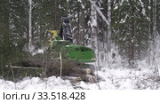 Механизированная рубка леса. Валочно-пакетирующая машина John Deere 903K в работе. Mechanized felling clearing. John Deere 903K feller buncher at work. (2020 год). Редакционное видео, видеограф Евгений Романов / Фотобанк Лори