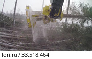 Механизированная рубка леса. Валочно-пакетирующая машина John Deere 903K в работе. Mechanized felling clearing. John Deere 903K feller buncher at work. Стоковое видео, видеограф Евгений Романов / Фотобанк Лори