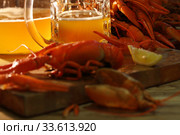 Crayfish with beer on a wooden table. Стоковое фото, фотограф Марина Володько / Фотобанк Лори