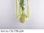Fresh kohlrabi, close-up isolated on white background. Стоковое фото, фотограф Evgeny Miller / Фотобанк Лори