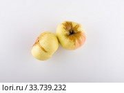 Ripe yellow apple variety Antonovka on a white background. Стоковое фото, фотограф Evgeny Miller / Фотобанк Лори