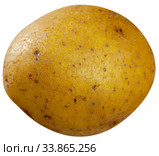 One raw potato. Стоковое фото, фотограф Яков Филимонов / Фотобанк Лори