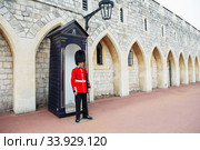 LONDON, UNITED KINGDOM - AUGUST 22, 2017 : Royal Guard at Windsor Castle, England. Редакционное фото, фотограф Nataliia Zhekova / Фотобанк Лори