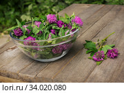 Цветы клевера в стеклянной плошке. Стоковое фото, фотограф Александр Романов / Фотобанк Лори
