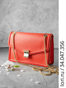 fashionable coral red Crossbody bag on the gray concrete background. crossbody bag made of sheepskin and cowhide leather, a metal clasp, chain shoulder strap. Стоковое фото, фотограф Nataliia Zhekova / Фотобанк Лори