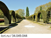 Сад Пре-Фишо в городе Бурже. Франция. Jardin des Prés-Fichaux à Bourgues. France (2017 год). Редакционное фото, фотограф Вера Смолянинова / Фотобанк Лори