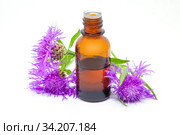 Василек луговой (Centaurea jacea). Цветы василька и бутылочка с экстрактом (гидролатом) растения. Стоковое фото, фотограф Татьяна Белова / Фотобанк Лори