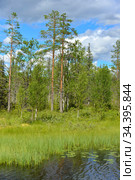 Summer landscapes. Picturesque northern lake. Finnish Lapland. Стоковое фото, фотограф Валерия Попова / Фотобанк Лори