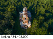 Старинная заброшенная Троицкая церковь в летнем лесу  (аэросъемка). Новгородская область, Россия (2020 год). Стоковое фото, фотограф Виктор Карасев / Фотобанк Лори
