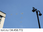 Группа стратегических ракетоносцев Ту-22М3 с изменяемой геометрией крыла и сверхзвуковой стратегический бомбардировщик дальней авиации Ту-160 в небе над Москвой во время генеральной репетиции парада, посвященного 75-летию Победы в Великой Отечественной войне (2020 год). Редакционное фото, фотограф Free Wind / Фотобанк Лори