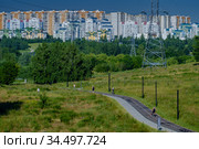 Москва, Митинский ландшафтный парк (2020 год). Стоковое фото, фотограф glokaya_kuzdra / Фотобанк Лори
