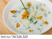 National Macedonian and Bulgarian dish Tarator. Стоковое фото, фотограф Яков Филимонов / Фотобанк Лори