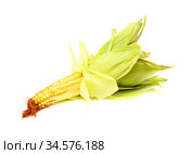 Ear of young sweetcorn isolated on white background. Стоковое фото, фотограф Tamara Kulikova / Фотобанк Лори