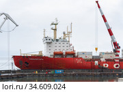 Cargo container ship nuclear-powered icebreaker Sevmorput Russian Corporation FSUE Rosatomflot. Container terminal commercial seaport (2019 год). Редакционное фото, фотограф А. А. Пирагис / Фотобанк Лори