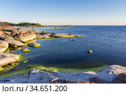 Baltic sea and stone coast. Стоковое фото, фотограф Дмитрий Тищенко / Фотобанк Лори