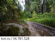Большой валун у дороги. Оледенение. Стоковое фото, фотограф Яковлев Сергей / Фотобанк Лори