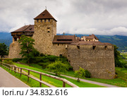 View of Vaduz castle, Liechtenstein. Стоковое фото, фотограф Яков Филимонов / Фотобанк Лори
