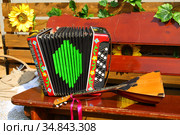 Russian folk instruments: accordion and balalaika. Стоковое фото, фотограф Марина Володько / Фотобанк Лори