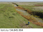 Drought on flooded meadowsl. Kartal Eco Park, Orlovka village, Reni raion, Odessa oblast, Ukraine, Eastern Europe (2020 год). Стоковое фото, фотограф Некрасов Андрей / Фотобанк Лори