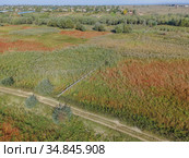 Aerial view on wooden footbridge through the reeds over flood-meadow. Kartal Eco Park, Orlovka village, Reni raion, Odessa oblast, Ukraine, Eastern Europe (2020 год). Стоковое фото, фотограф Некрасов Андрей / Фотобанк Лори
