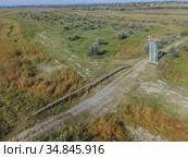 Aerial view on wooden footbridge through the reeds over flood-meadow. Kartal Eco Park, Orlovka village, Reni raion, Odessa oblast, Ukraine, Eastern Europe (2020 год). Стоковое фото, фотограф Некрасов Андрей / Фотобанк Лори