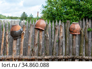 Горшки сушатся на изгороди. Усадьба средневекового рушанина. Старая Русса, Новгородская область (2020 год). Редакционное фото, фотограф Александр Щепин / Фотобанк Лори