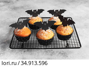 Halloween pumpkin muffins in black capsules decorated with cardboard bats. Festive Halloween cupcakes. Close-up view of delicious spooky halloween muffins on the grey table. Halloween recipes. Стоковое фото, фотограф Nataliia Zhekova / Фотобанк Лори