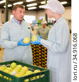 Dissatisfied foreman reprimanding workwoman about quality of apples. Стоковое фото, фотограф Яков Филимонов / Фотобанк Лори