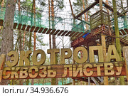 Экотропа "Сквозь листву" на территории Приокско-Террасного заповедника в Серпуховском округе (2020 год). Редакционное фото, фотограф Владимир Литвинов / Фотобанк Лори