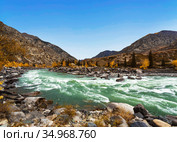 The Katun river, ilgumensky thresholds. Altai republic. Russia (2020 год). Стоковое фото, фотограф Наталья Волкова / Фотобанк Лори