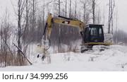 Расчистка земельных участков от кустарника. Кусторез Promac 36 BT RSMDC на базе CAT312 DL в работе. Clearing of land plots from bushes. Promac 36 BT RSMDC brush cutter mount on CAT312 DL at work. (2016 год). Редакционное видео, видеограф Евгений Романов / Фотобанк Лори