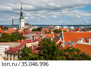 Старый город. Церковь Олевисте. Таллин, Эстония (2012 год). Редакционное фото, фотограф Александр Щепин / Фотобанк Лори